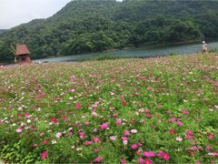 -广州市石门国家森林公园