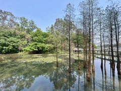 -白天鹅宾馆-宏图府餐厅