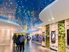 -SFC动漫主题影院(美罗城店)