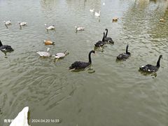 -青藏高原野生动物园