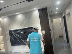 -Liteclear日本进口强效除甲醛检测治理(旗舰店)
