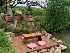 -樂桃源奉贤黄桃种植采摘基地