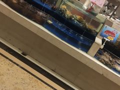 水产区-海景壹号大酒店(滨湖店)