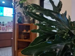 -一杯潮茶·专注潮汕茶饮(朝阳庄店)