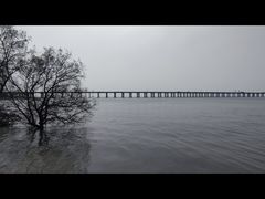 -宝安西湾红树林湿地公园