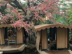 -世外桃源农庄·德清土菜(兴康南路店)