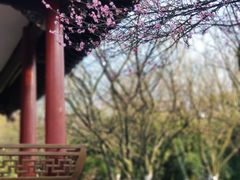 -杭州植物园
