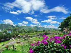 -万峰林风景区