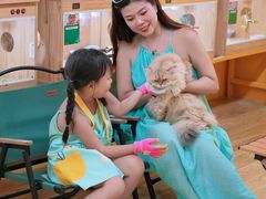 -三亚海棠湾喜来登度假酒店