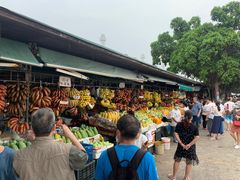 -南沙十九涌渔人码头-南门