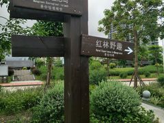 -大亚湾红树林城市湿地公园