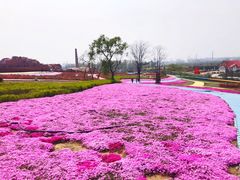 -西海岸生态观光园
