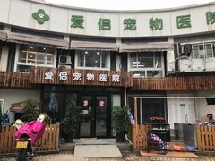 -爱侣宠医·鹦鹉专科·小型哺乳类·异宠专科(灵石路店)