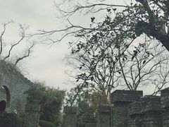 -朴园