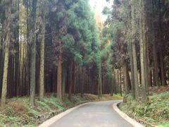 -山王坪喀斯特国家生态公园