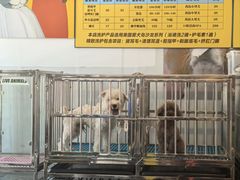 -酷迪宠物(赵登禹路店)