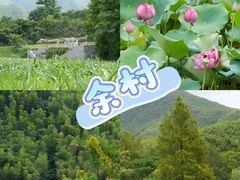 -阿露佳·舌尖上的安吉菜