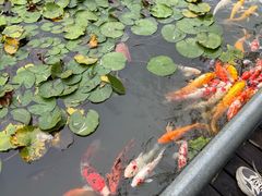 -泰安地下龙宫景区