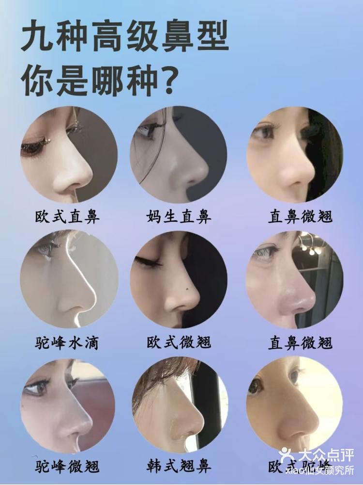 九种高级鼻形你是哪种