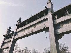 -茯茶镇