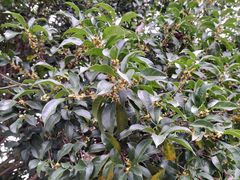 -方山风景区定林寺