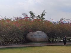 -中国科学院西双版纳热带植物园