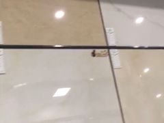 -长虹家具世界(渭水道店)