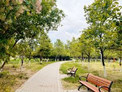 -大兴滨河森林公园