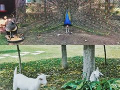 -太阳岛度假酒店