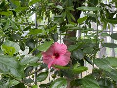 -南通洲际绿博园