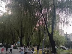 -西安市长乐公园