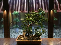 景观位-粗茶淡饭·隐庐私厨(东亭店)