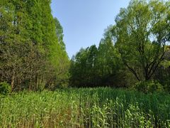-同里国家湿地公园