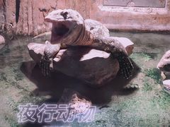 -济南野生动物世界