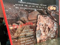 -国家自然博物馆