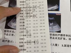 -伟伟宠物医院·CT影像中心·瑞派犬猫综合性门诊(汉口总院)