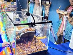 -烟台海昌鲸鲨海洋公园