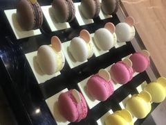 -新发展亚太JW万豪酒店·福苑咖啡厅