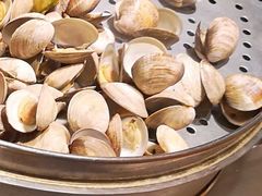 蛤蜊-豪食国际美食自助(裕华路店)