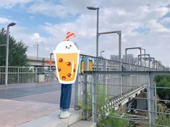 -滨州铁路桥