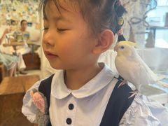-吉丁鸟咖·异宠·寄养