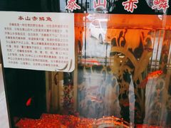 -广合草鸡·泰山炒鸡(擂鼓石店)