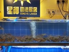 水产区-星椰叻沙·椰浆鲜虾面(江南西店)