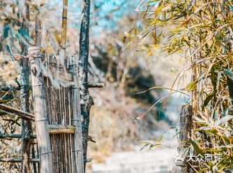 宁波｜瞻岐东一村，在这里遇见乡愁