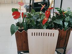 -阳阳中国饭(龙湖大兴天街)