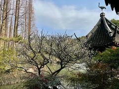 -上海醉白池公园