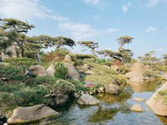 -罗红摄影艺术馆