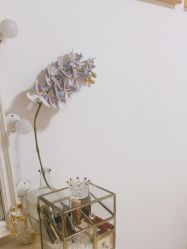 -美肤盾祛痘·问题肌头疗管理中心