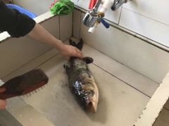-万佛湖许老大铁锅鱼(黑金冠店)