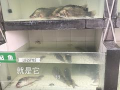 -周姐鱼馆